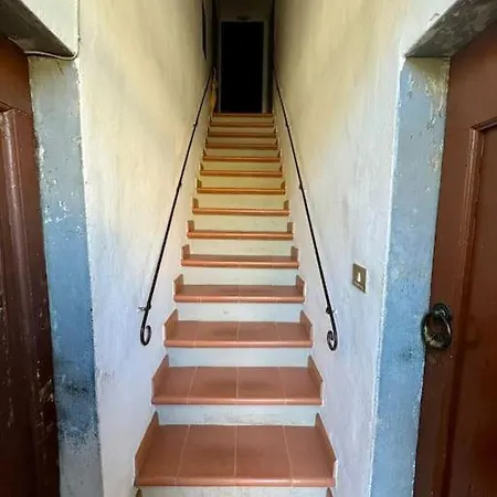 Beautiful And Cosy 1br 公寓 佛罗伦萨