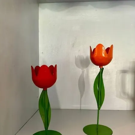 公寓 Beautiful And Cosy 1br
